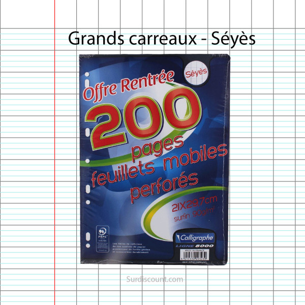 200 Feuillets Mobiles Perforées 21X29,7 A4 Grands Carreaux Seyes 90G Clairefontaine | à seulement 1,99 €