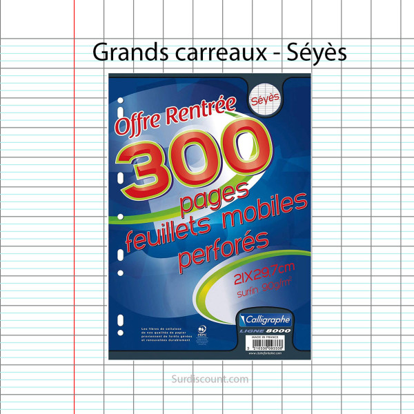 300 Feuillets Mobiles Perforées 21X29,7 A4 Grands Carreaux Seyes 90G Clairefontaine pas cher