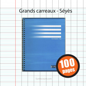 Cahier Spirale 17X22 100P Grands Carreaux Seyes 70G Calligraphe pas cher