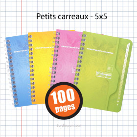 Carnet Répertoire Spirale 90X140 Petits Carreaux 5X5 100P Calligraphe | à seulement 1,7 €