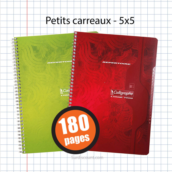 Carnet Répertoire Spirale 21X29,7 Petits Carreaux 5X5 100P Calligraphe pas cher