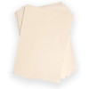 Papier cartonné - Pailleté ivoire - A4 - 230g - 50 feuilles - Scrapbooking - Sizzix