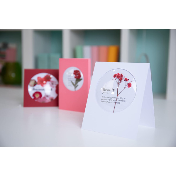 Dômes - Cercles - Transparent - Pour carte, invitation - Autocollant - 8,9cm diamètre - 4 pièces