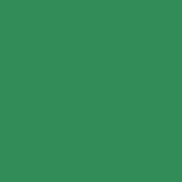 Stylo-feutre - Pointe acrylique - 2mm - Vert - Pentel - S520