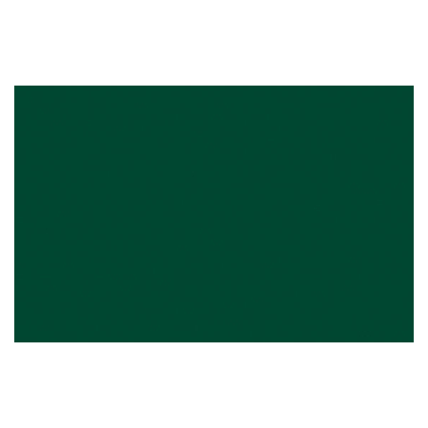 Bombe de peinture - vert foncé permanent - Liquitex pas cher