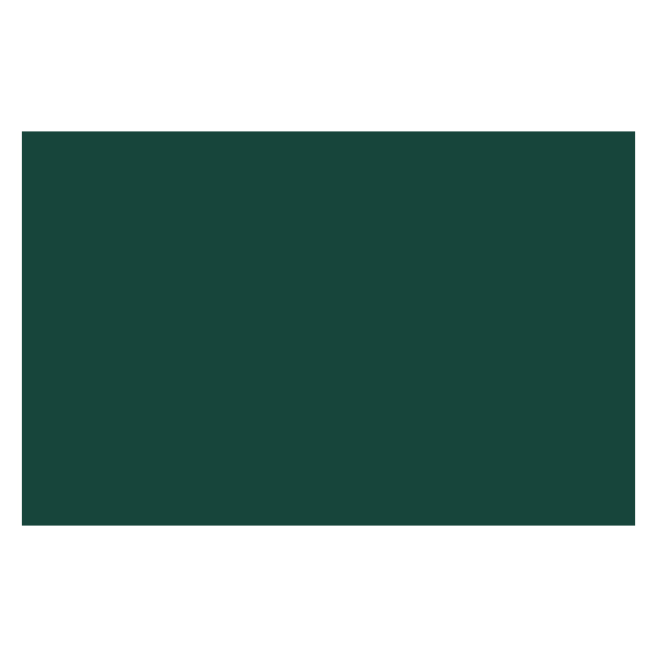 Bombe de peinture - vert emeraude - Liquitex pas cher-15281