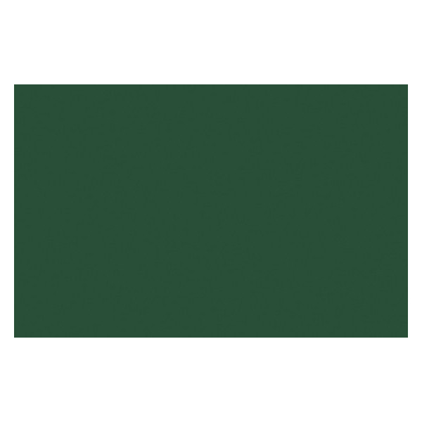 Bombe de peinture - vert de hooker permanent - Liquitex | Surdiscount