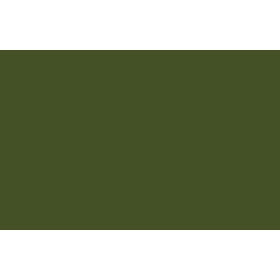 Bombe de peinture - vert de vessie - Liquitex | Surdiscount