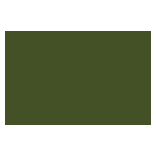 Bombe de peinture - vert de vessie - Liquitex | Surdiscount