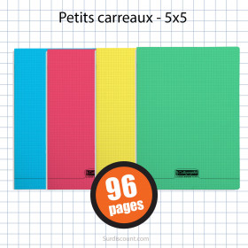 Carnet Polypro 90X140 96P Petits Carreaux 5X5 Assortiment Clairefontaine pas cher