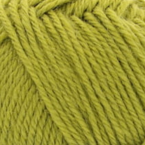Pelote de laine - Kiwi - 50% Laine 50% acrylique - Bergère de France - Idéale 4