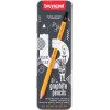 Boîte De 6 Crayons Graphite - 1H 2H Hb 1B 2B 4B - Bruynzeel pas cher