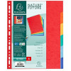 Intercalaires A4 + - 6 Positions - Carte Lustrée 225G - Exacompta | à seulement 1,2 €