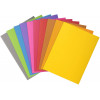 Lot De 100 Chemises Rock"S 24 X 32 Cm 210G Assortie - Exacompta | Surdiscount