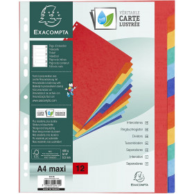Intercalaires A4+ - 12 Positions - Carte Lustrée 400G - Exacompta pas cher