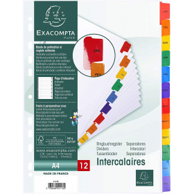 Intercalaires A4 - 12 Positions - Mensuel - Carte Blanche 160G - Exacompta pas cher