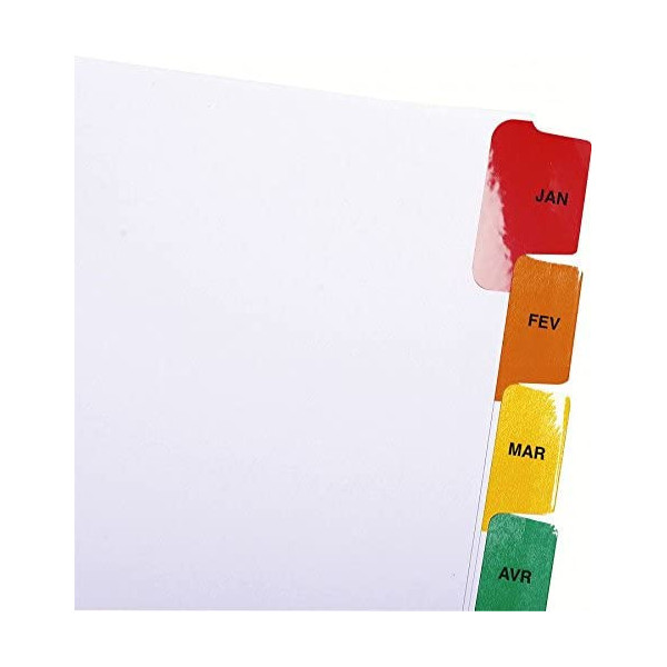 Intercalaires A4 - 12 Positions - Mensuel - Carte Blanche 160G - Exacompta | à seulement 1,5 €