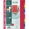 Intercalaires A4 - 12 Positions - Carte Lustrée 225G - Exacompta pas cher