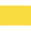 Bombe de peinture - jaune de cadmium moyen 5 - Liquitex | Surdiscount