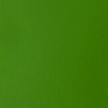 Peinture Acrylique en bidon - vert clair permanent - Liquitex Basics | Surdiscount