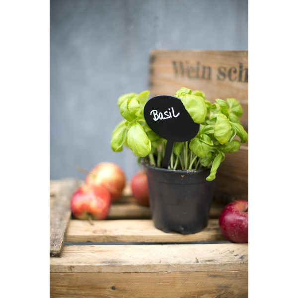Acheter Lot De 5 Ardoises Silhouette - Bulle - Feutre + Craie - Securit