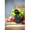 Acheter Lot De 5 Ardoises Silhouette - Bulle - Feutre + Craie - Securit