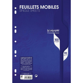Feuillets Mobiles Perforées 21X29,7 A4 Petits Carreaux 5X5 90G Clairefontaine pas cher