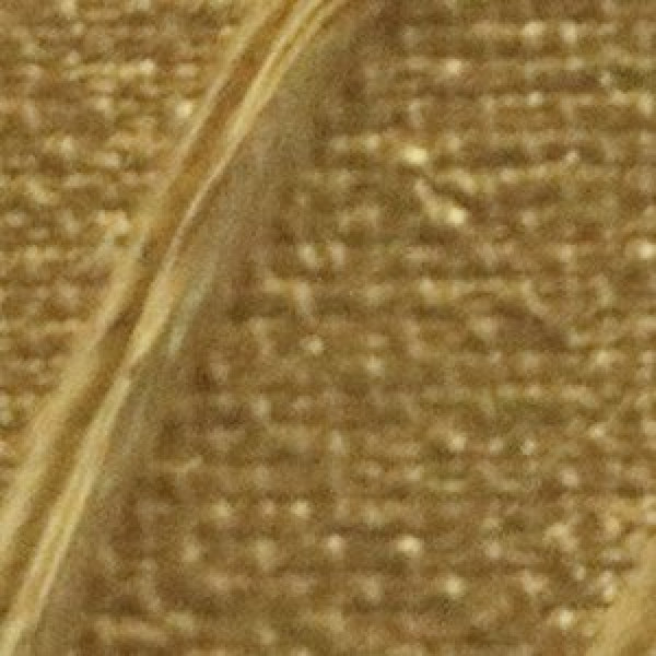 Peinture acrylique - Or - 41 - Haute viscosité - Pébéo - Origin acrylics - 60ml