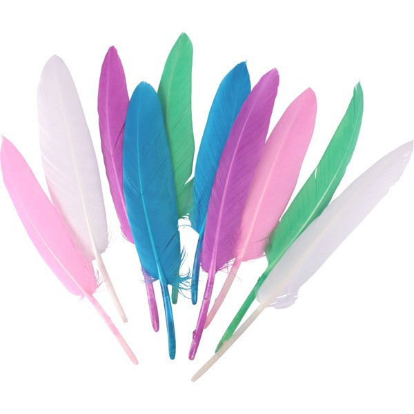 Sachet De 120 Plumes Indiennes Assortis Pastel - Ctop pas cher