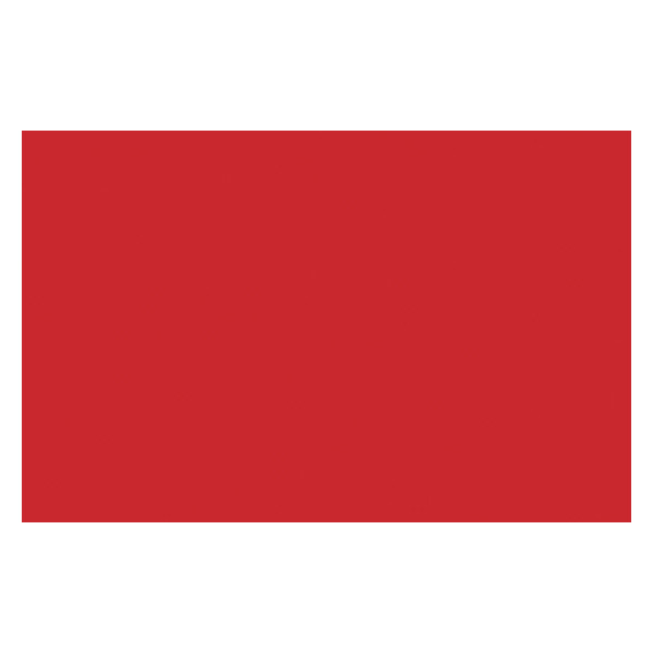 Bombe de peinture - rouge de cadmium - Liquitex | Surdiscount