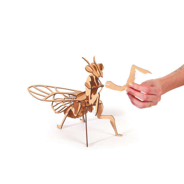 Maquette - Puzzle - 3D - En bois - Mante religieuse - 27 pièces - Dès 8 ans