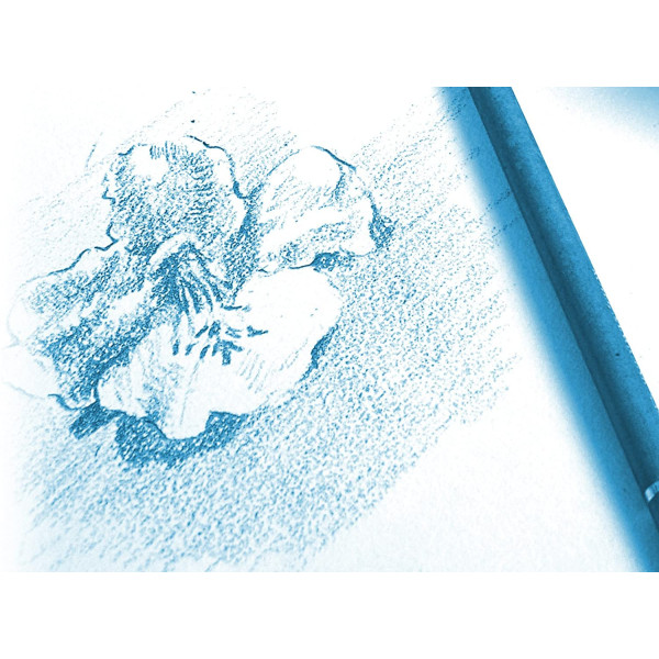Bloc Dessin A Grain Colle A5 - 125G - 40 Feuilles - Clairefontaine | Surdiscount