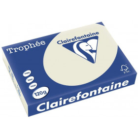 250 Feuilles A4 - 120G - Couleurs Pastels - Gris Perle - Trophée Clairefontaine pas cher