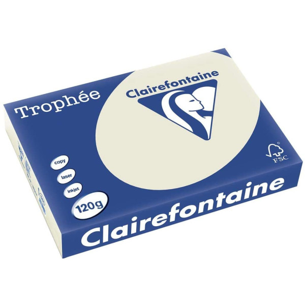 250 Feuilles A4 - 120G - Couleurs Pastels - Gris Perle - Trophée Clairefontaine pas cher