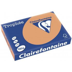 250 Feuilles A4 - 120G - Couleurs Pastels - Caramel - Trophée Clairefontaine pas cher