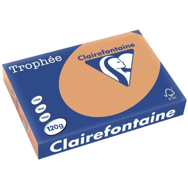250 Feuilles A4 - 120G - Couleurs Pastels - Caramel - Trophée Clairefontaine pas cher