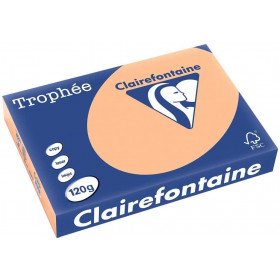 250 Feuilles A4 - 120G - Couleurs Pastels - Abricot - Trophée Clairefontaine pas cher