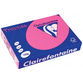 250 Feuilles A4 - 120G - Couleurs Pastels - Eglantine - Trophée Clairefontaine pas cher