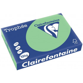 250 Feuilles A4 - 120G - Couleurs Pastels - Vert Nature - Trophée Clairefontaine pas cher