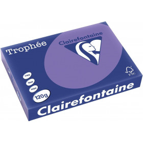250 Feuilles A4 - 120G - Couleurs Vives - Violine - Trophée Clairefontaine pas cher