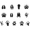 Rouleau de gommettes rondes - 20 mm - Motif empreintes d'animaux - Apli