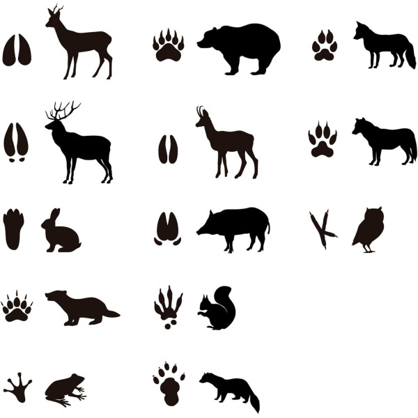 Rouleau de gommettes rondes - 20 mm - Motif empreintes d'animaux - Apli