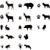 Rouleau de gommettes rondes - 20 mm - Motif empreintes d'animaux - Apli
