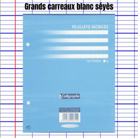 Feuillets Mobiles Blanc Perforées 17X22 Grands Carreaux Seyes 80G Clairefontaine pas cher