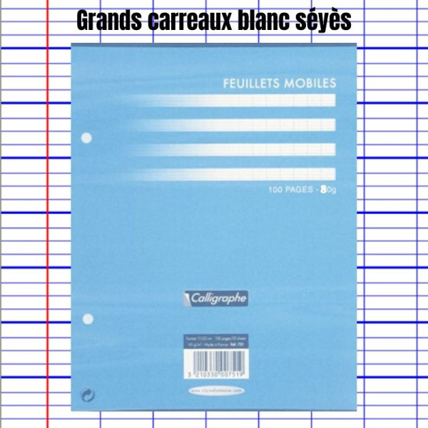 Feuillets Mobiles Blanc Perforées 17X22 Grands Carreaux Seyes 80G Clairefontaine pas cher