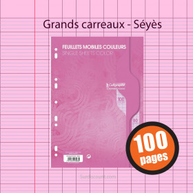 Feuillets Mobiles Perforées Rose 21X29,7 A4 Grands Carreaux Seyes 90G Clairefontaine pas cher