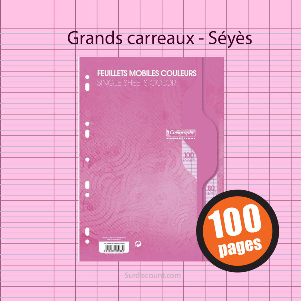 Feuillets Mobiles Perforées Rose 21X29,7 A4 Grands Carreaux Seyes 90G Clairefontaine pas cher