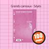 Feuillets Mobiles Perforées Rose 21X29,7 A4 Grands Carreaux Seyes 90G Clairefontaine pas cher