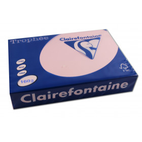 250 feuilles A4 - 160g - Couleur pastels - Rose - Trophée Clairefontaire