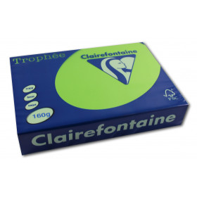 250 feuilles A4 - 160g - Couleur vives - Vert menthe - Trophée Clairefontaire